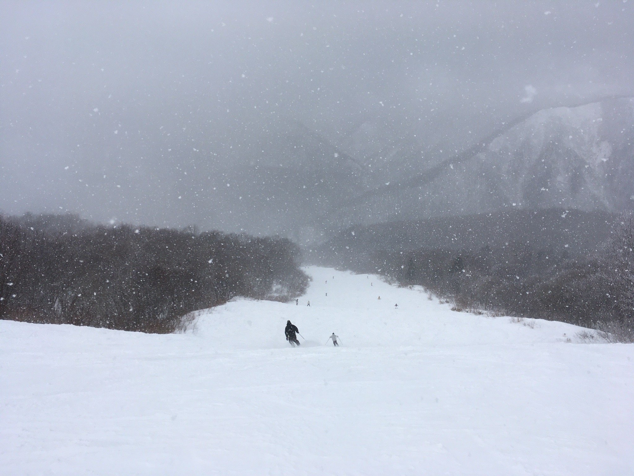 Kurobushi Kogen Snow Park Jangle Jungle