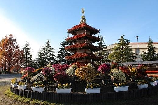 Tamba Sports Park cover image