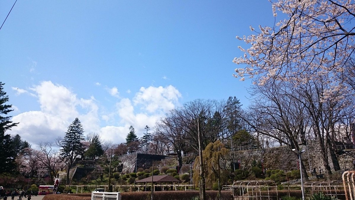 Morioka Castle Ruins cover image
