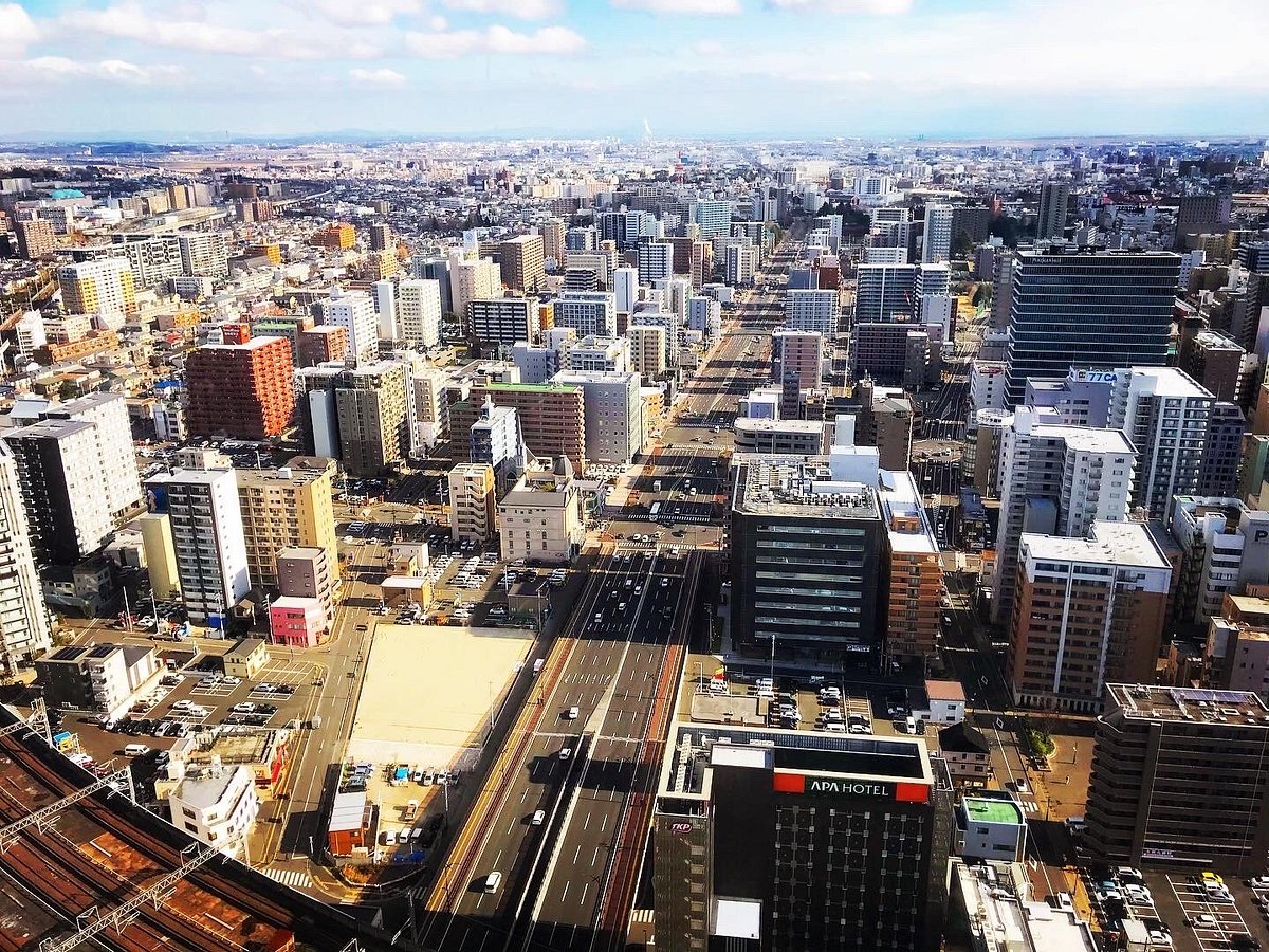 AER Lookout Terrace cover image