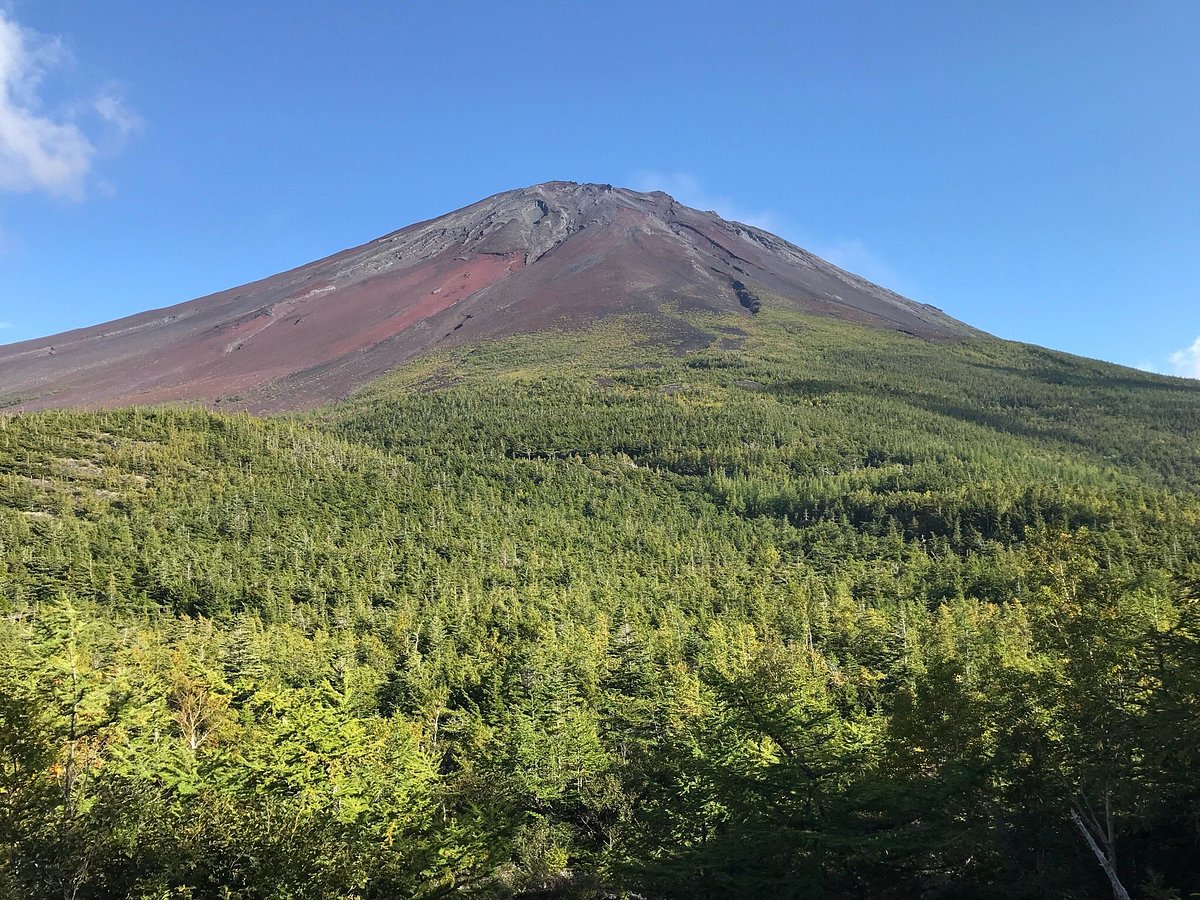 Okuniwa Nature Park cover image