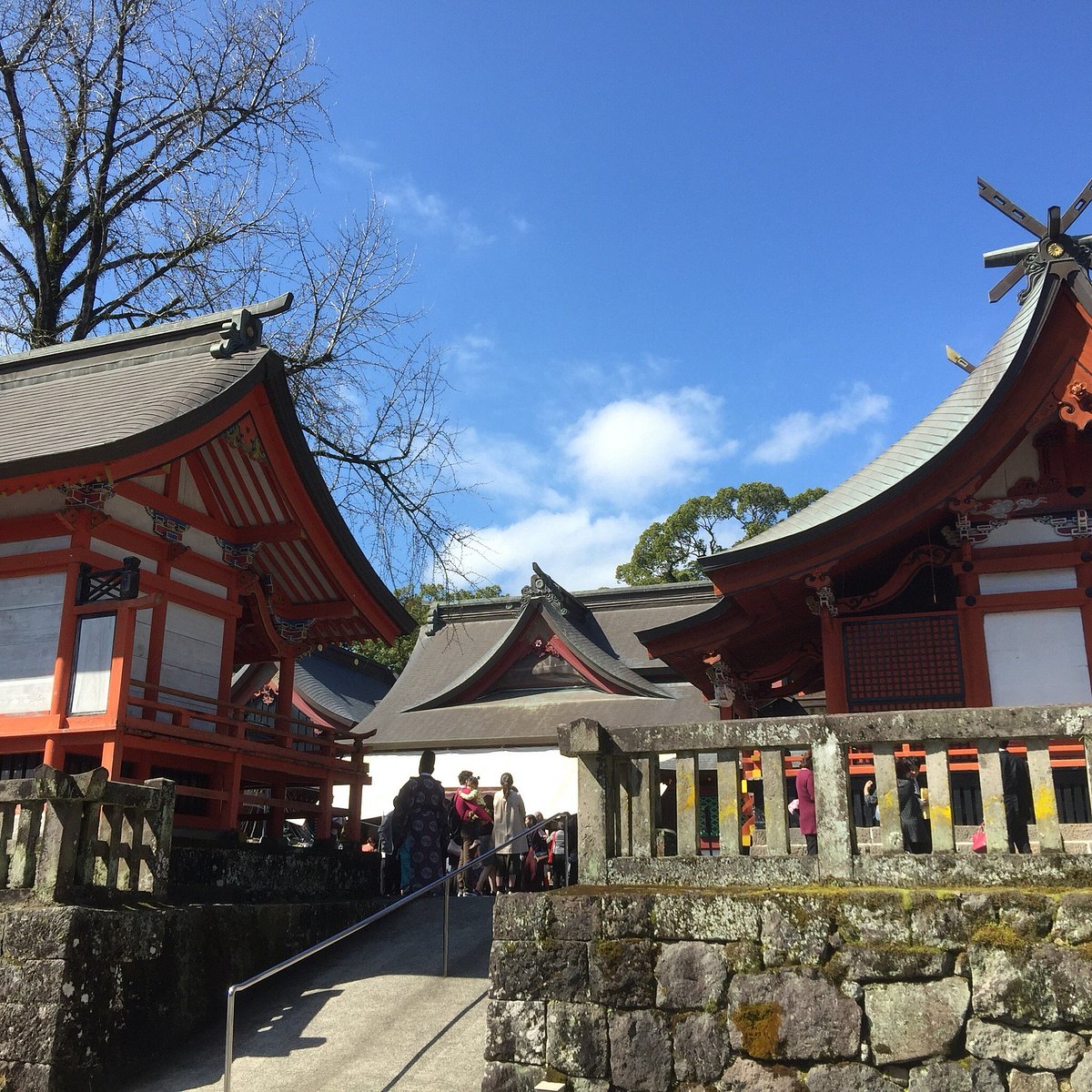 Kagoshima Jingu Shrine cover image