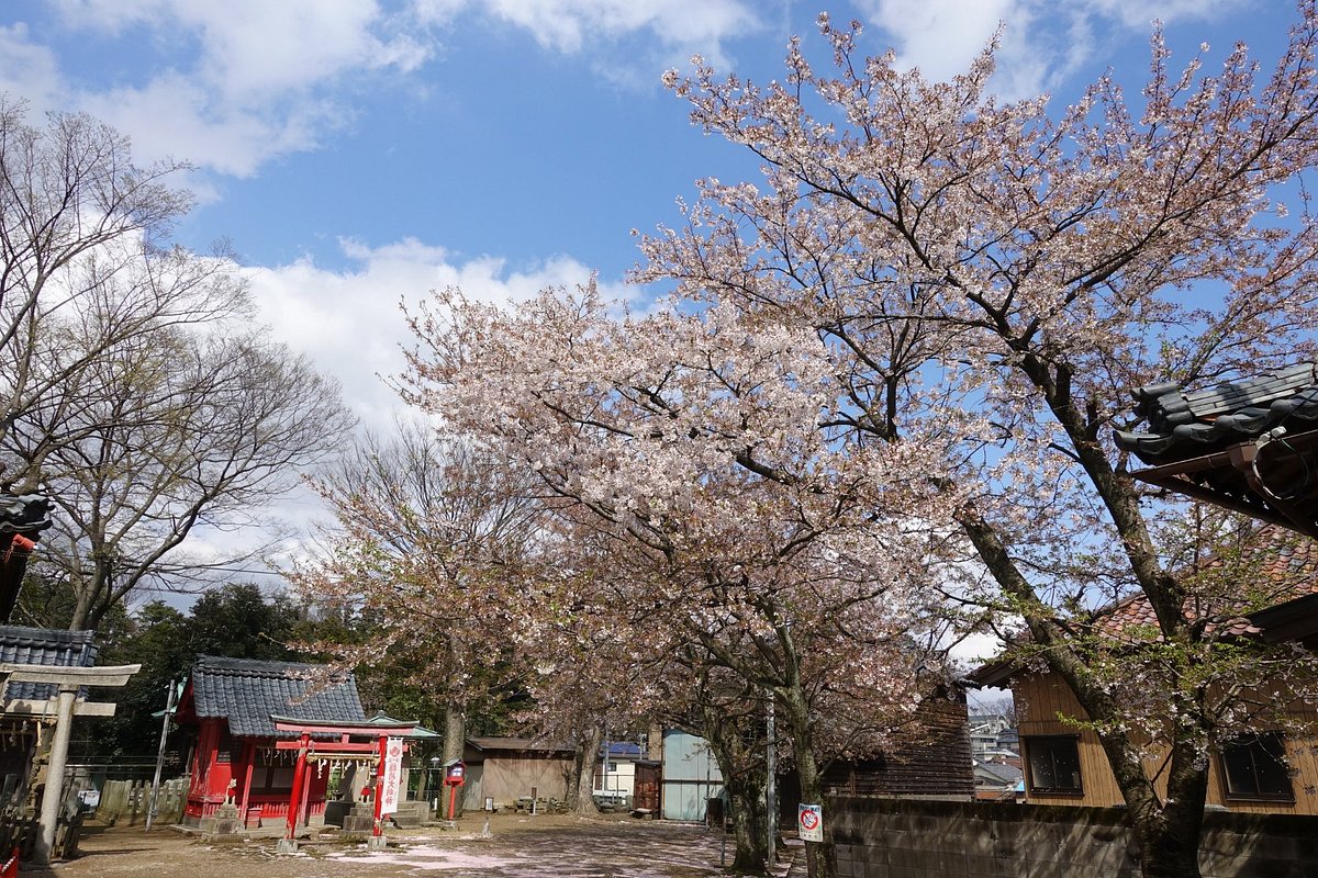 Mikunicho cover image