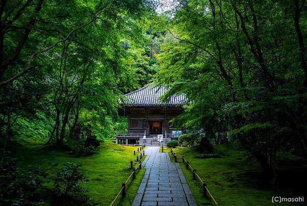 Entsu-in Temple cover image