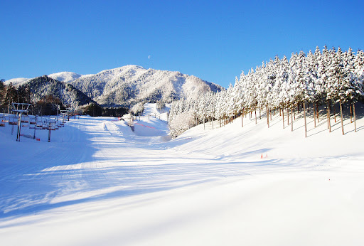 IBUKINOSATO Snow Resort cover image