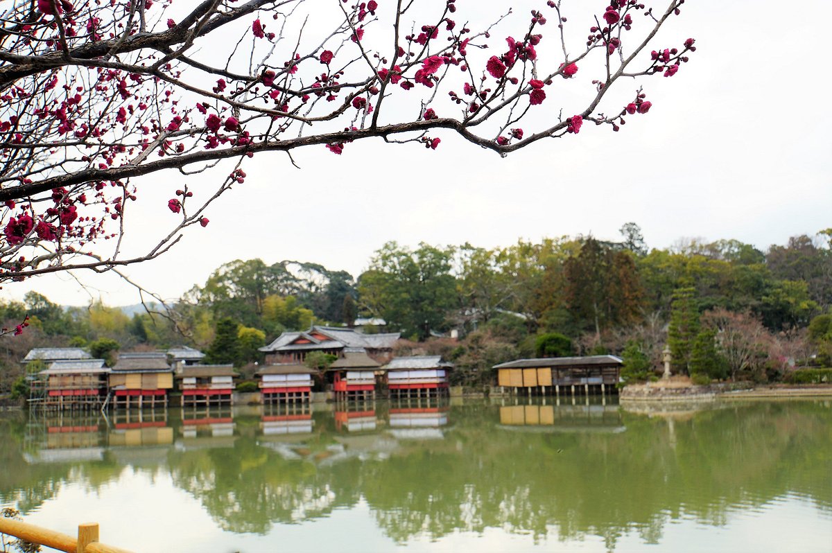 Nagaoka Tenmangu cover image