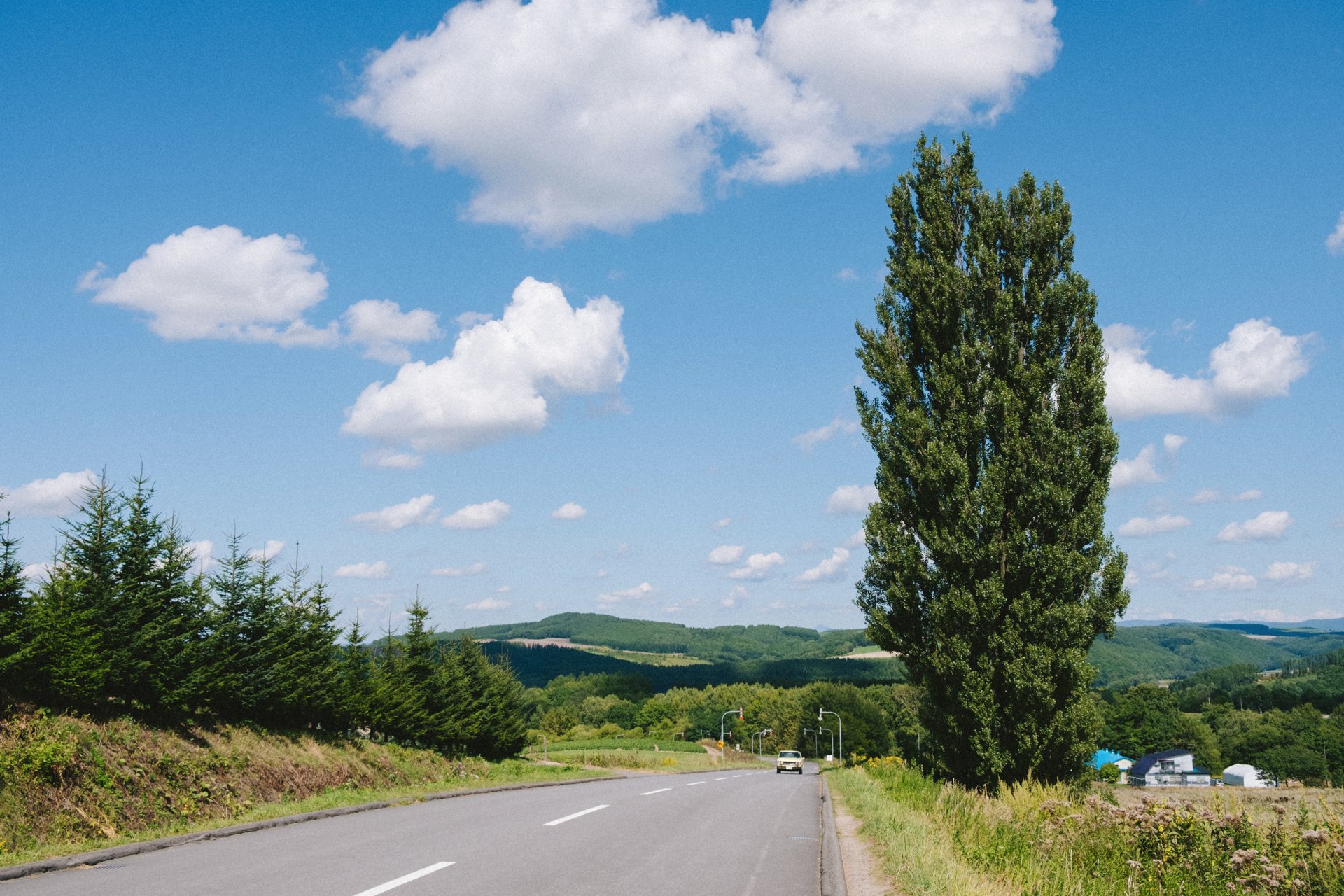 Tree of Ken and Mary cover image