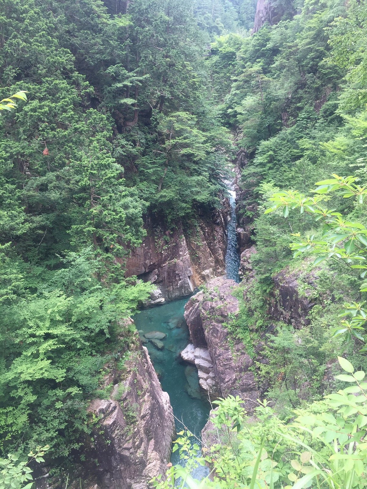 Kaore Valley cover image