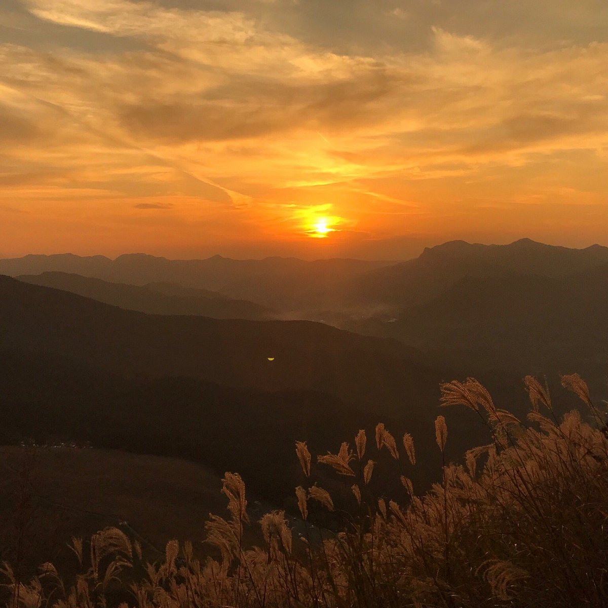 Soni Highland cover image