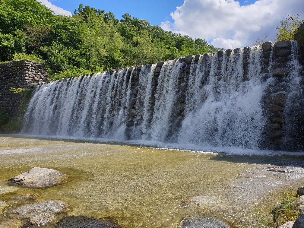 Verdant Garden Verga cover image