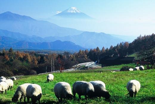 Makiba Park cover image