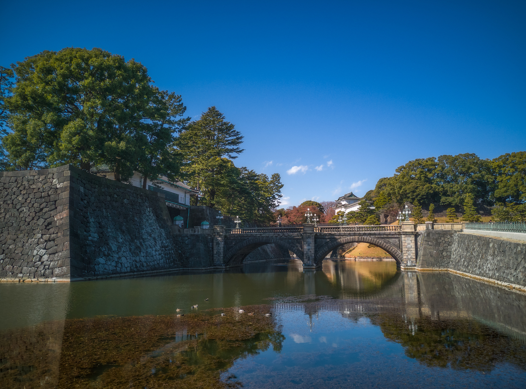 Kokyo Gaien National Garden cover image