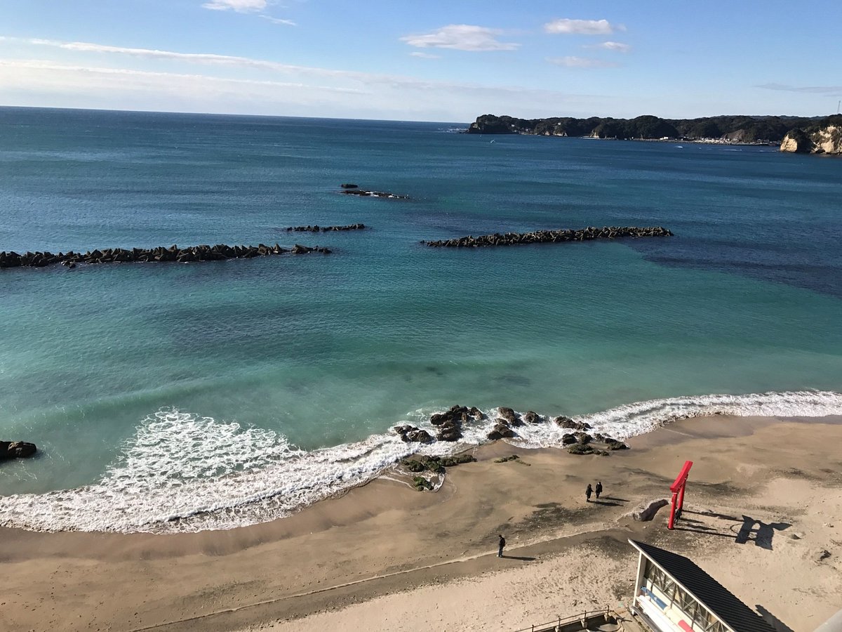 Morning Market cover image