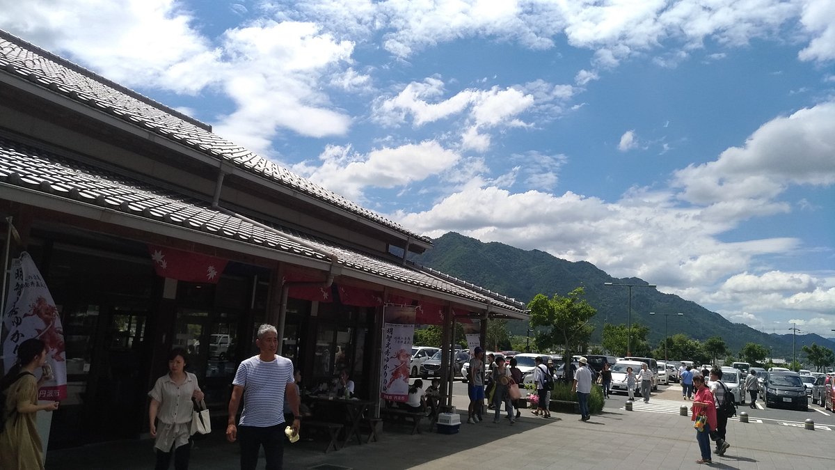 Michi-no-Eki Tamba Obaachan no Sato cover image