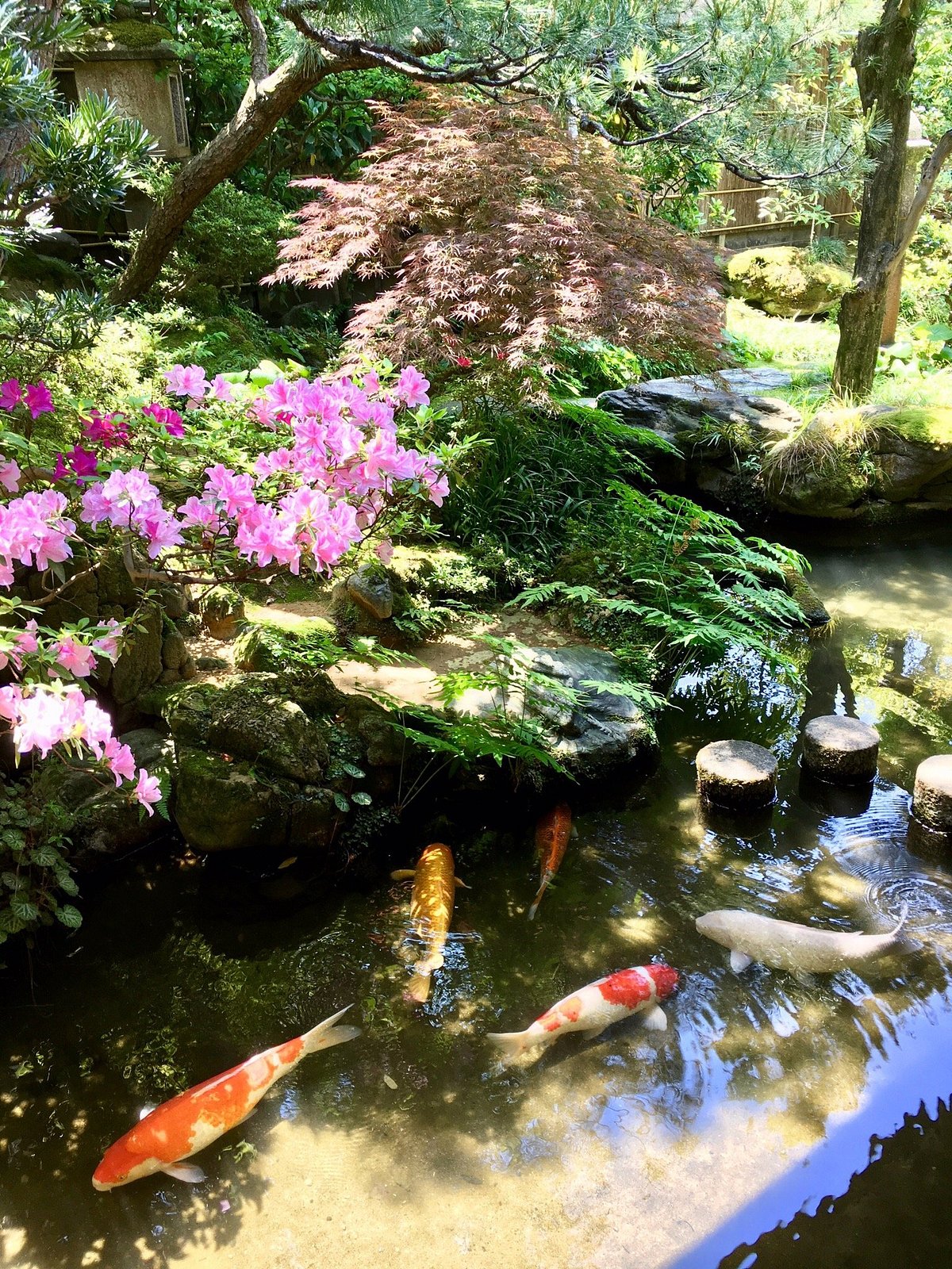 Nomura Family Samurai House