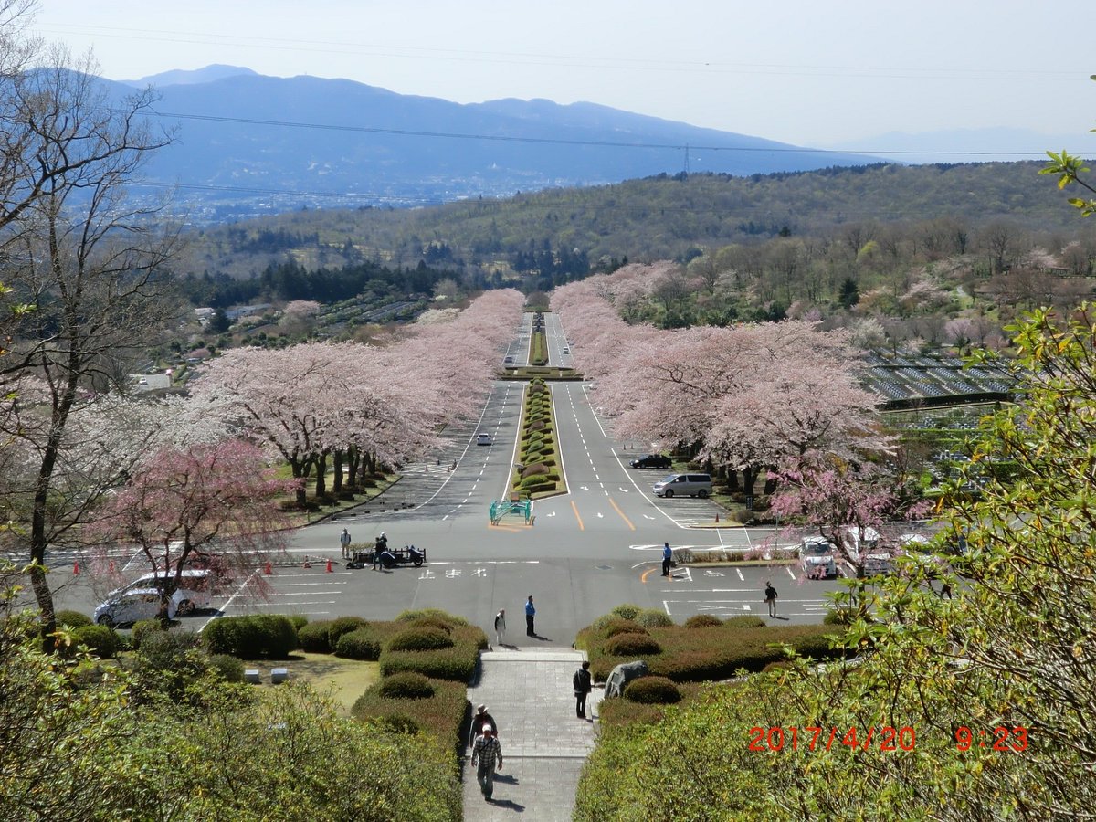 Fuji Reien Cemetry cover image
