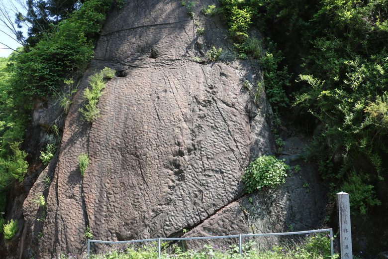 Sebayashi Ripple Marks cover image