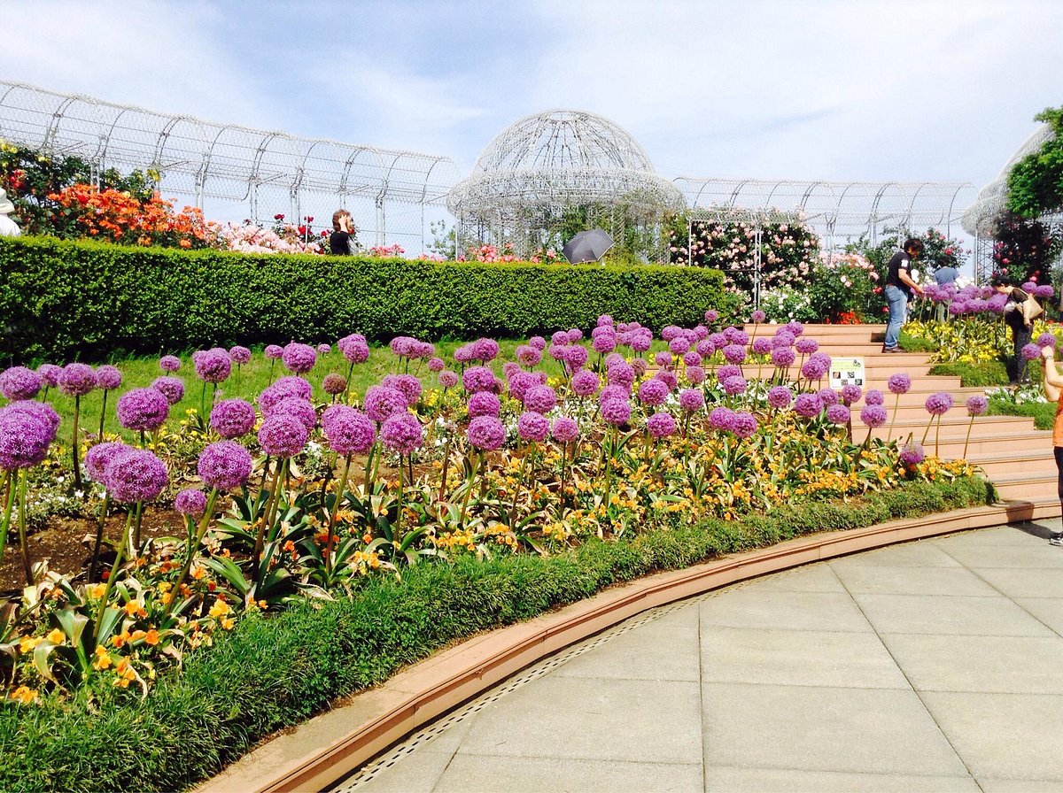 Odawara Flower Garden cover image