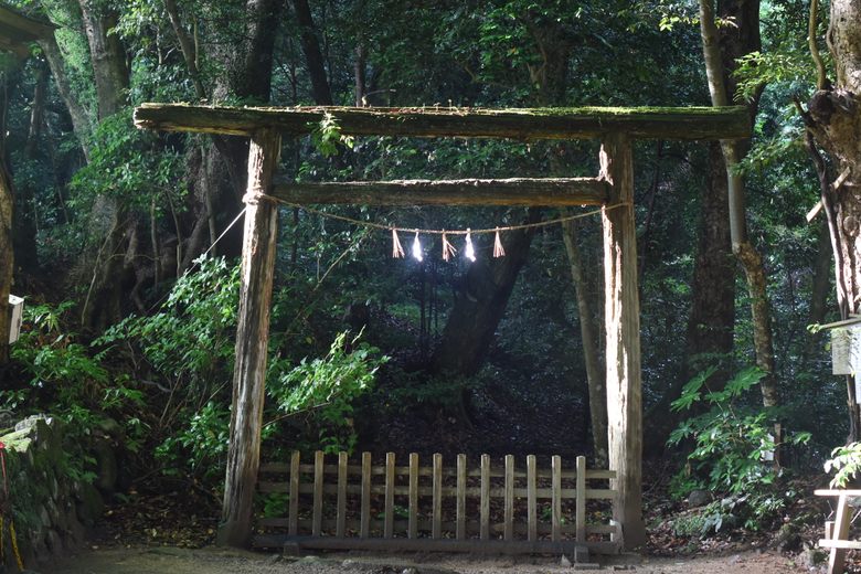 Forbidden Forest at Keta Taisha Shrine
