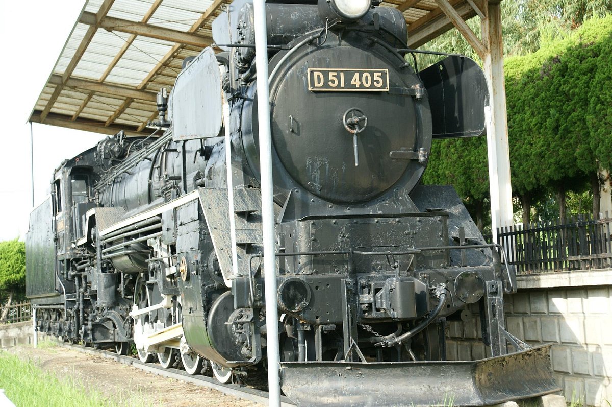 Matsudo Eucalyptus Traffic Park cover image