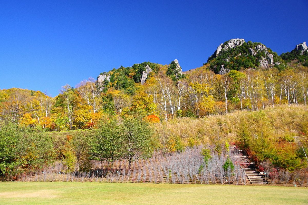 Mt Mizugaki Nature Park cover image