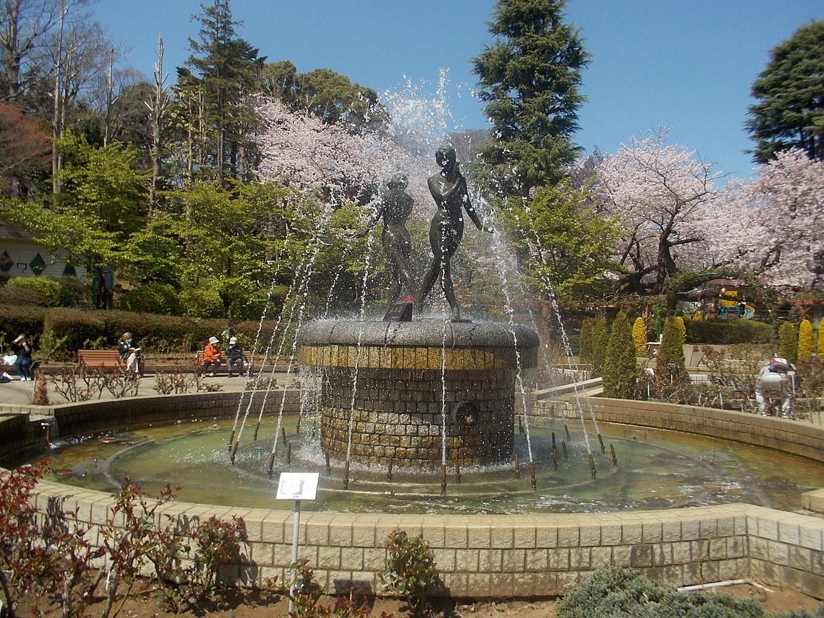 Satomi Park