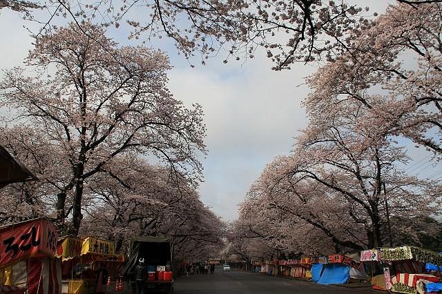 Kobayashi Farm cover image