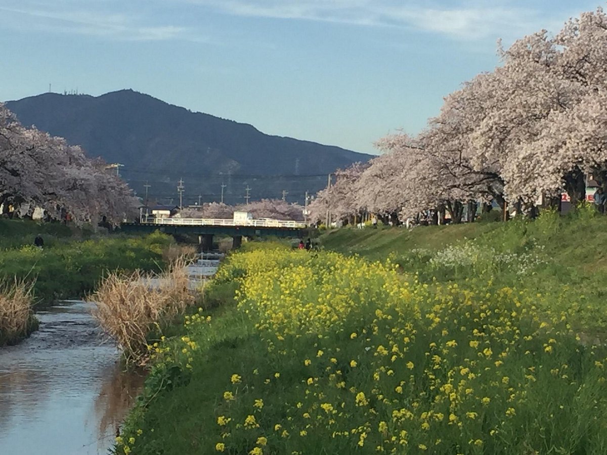 Sanagawa Embankment cover image