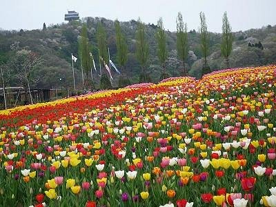 Echigo Hillside Park