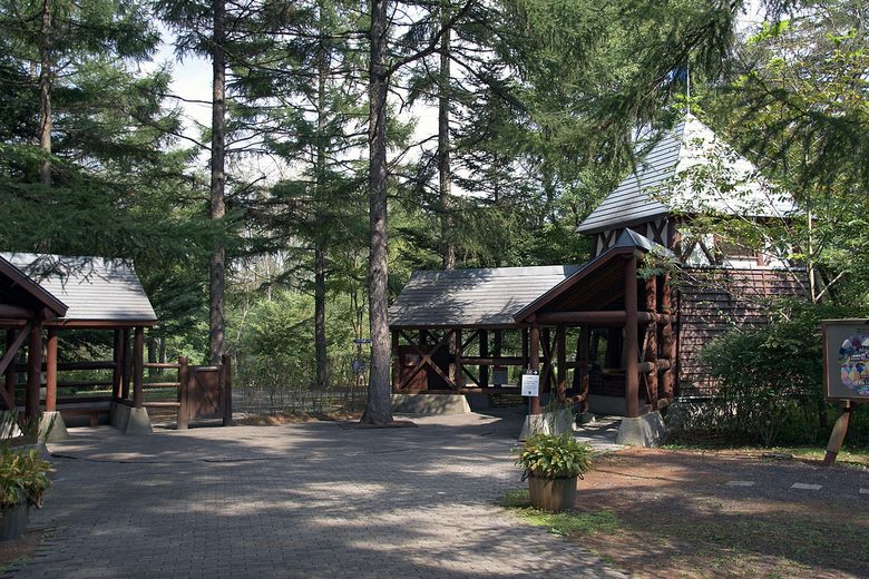 Karuizawa Picture Book Forest Museum
