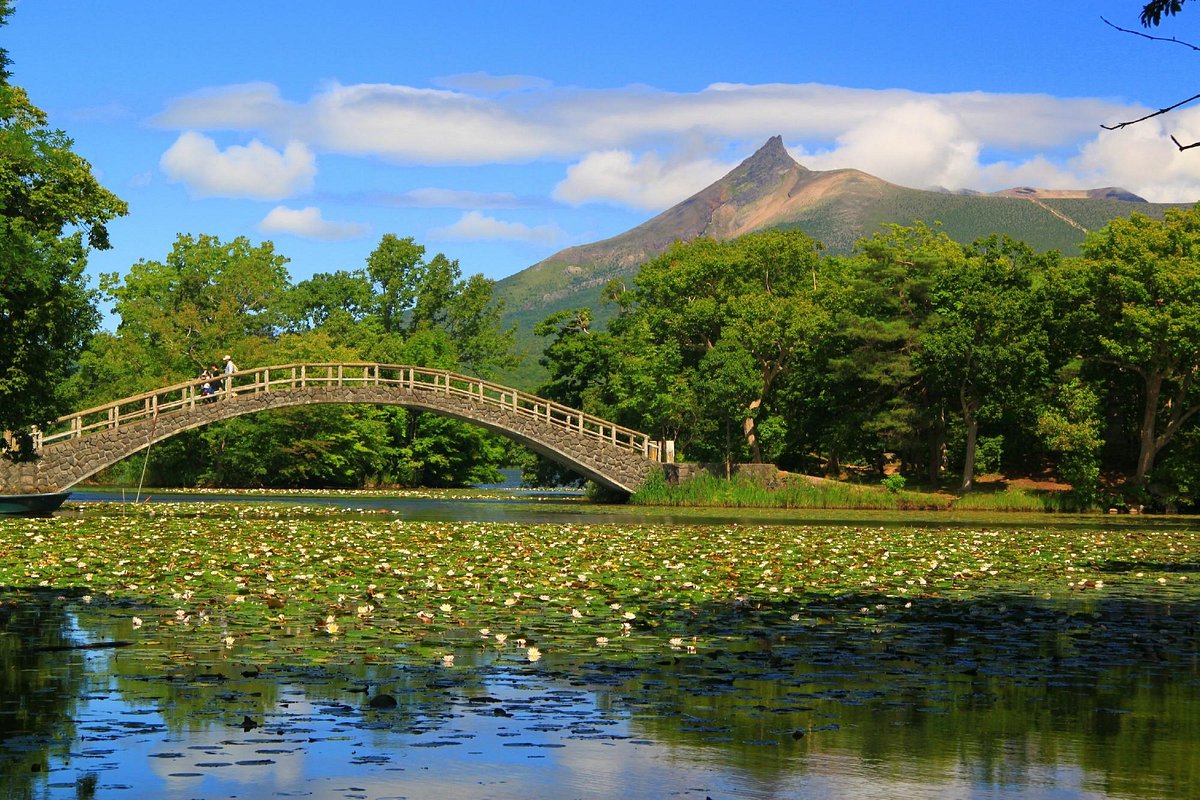 Onuma Park Walking Path