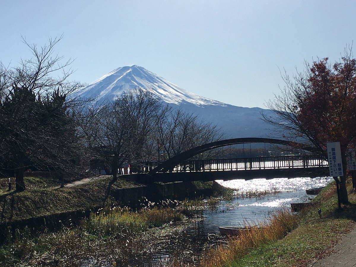 Mt. Fuji Station cover image