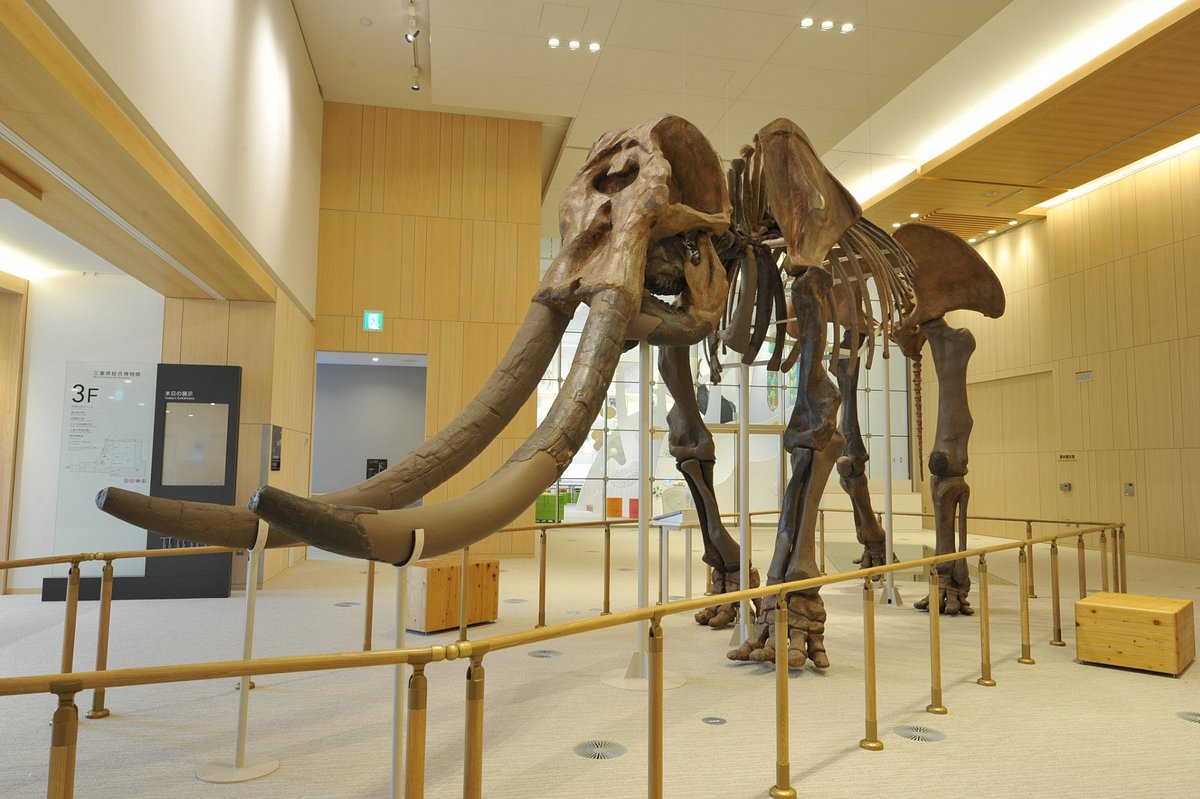 Mie Prefectural Museum