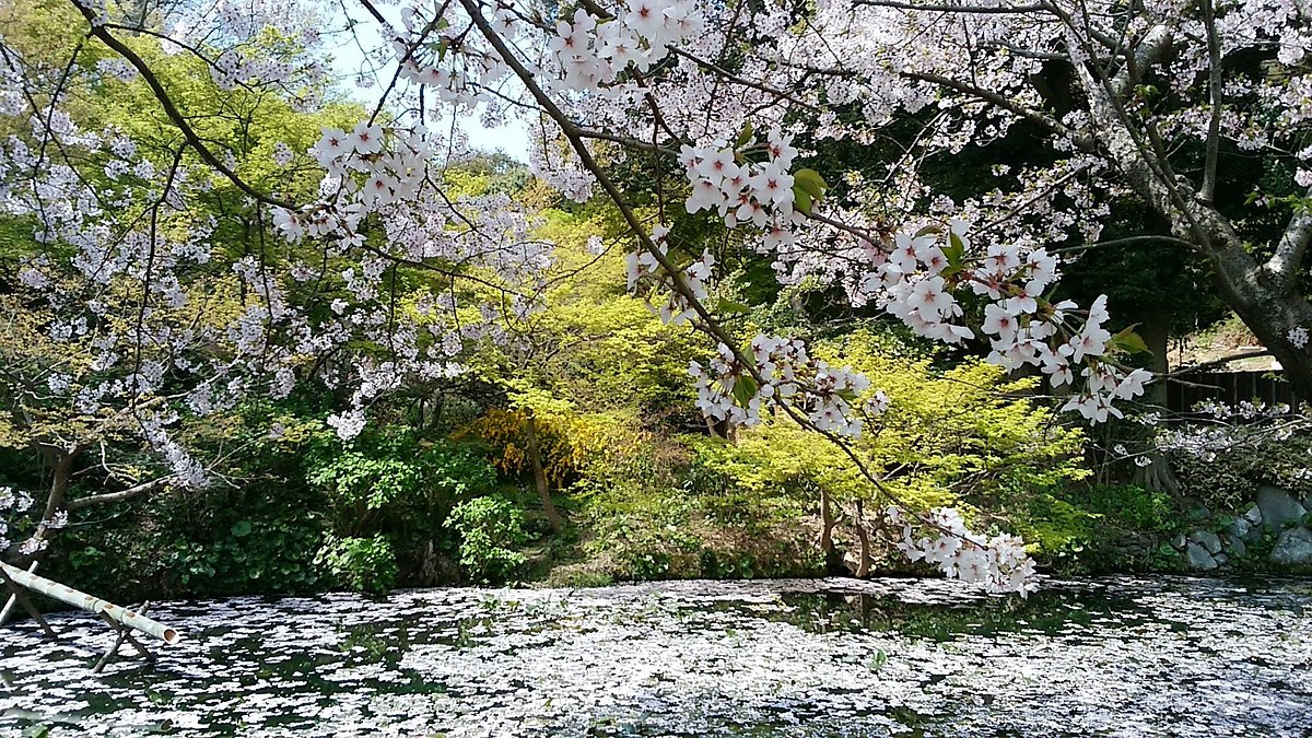 Shiranoe Botanical Garden cover image