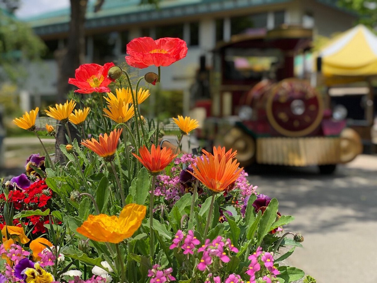 Akita Furusatomura cover image