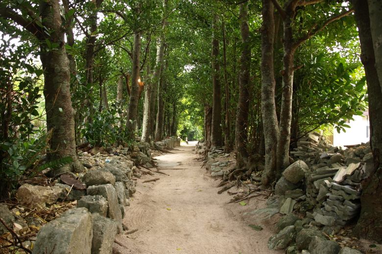 Bise Village cover image