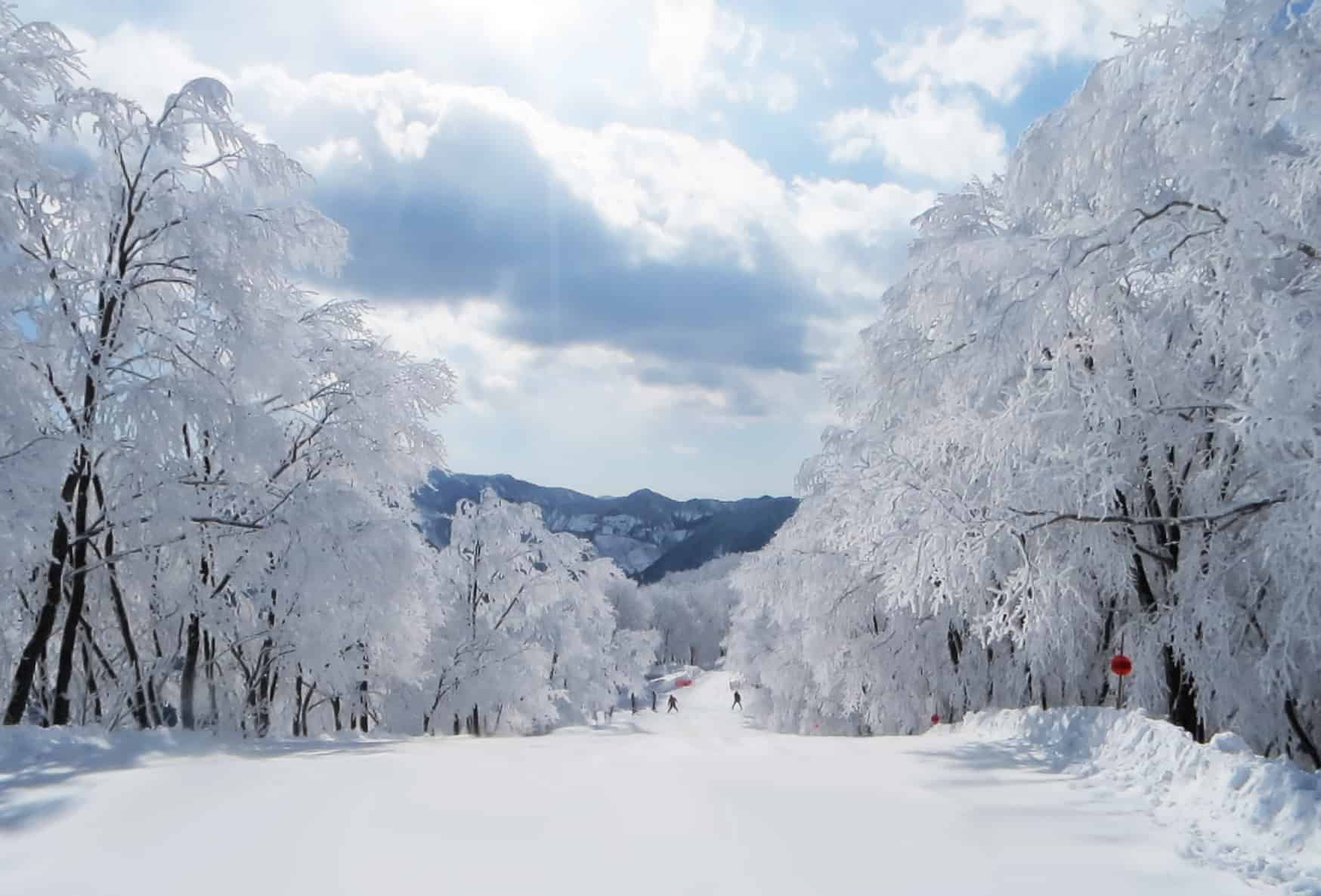 Hakuba Cortina Ski Resort cover image