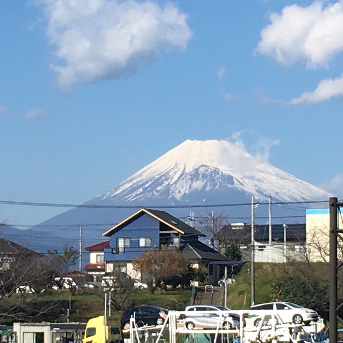 Izu Fruit Park cover image