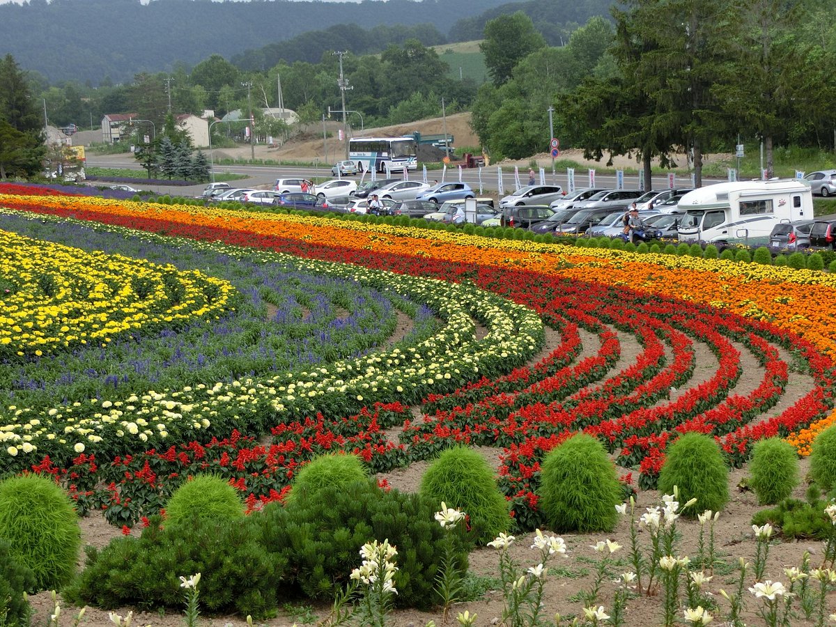 Zerubunoka Atomunooka