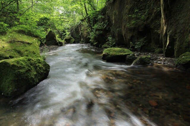 Tarumae Garo cover image