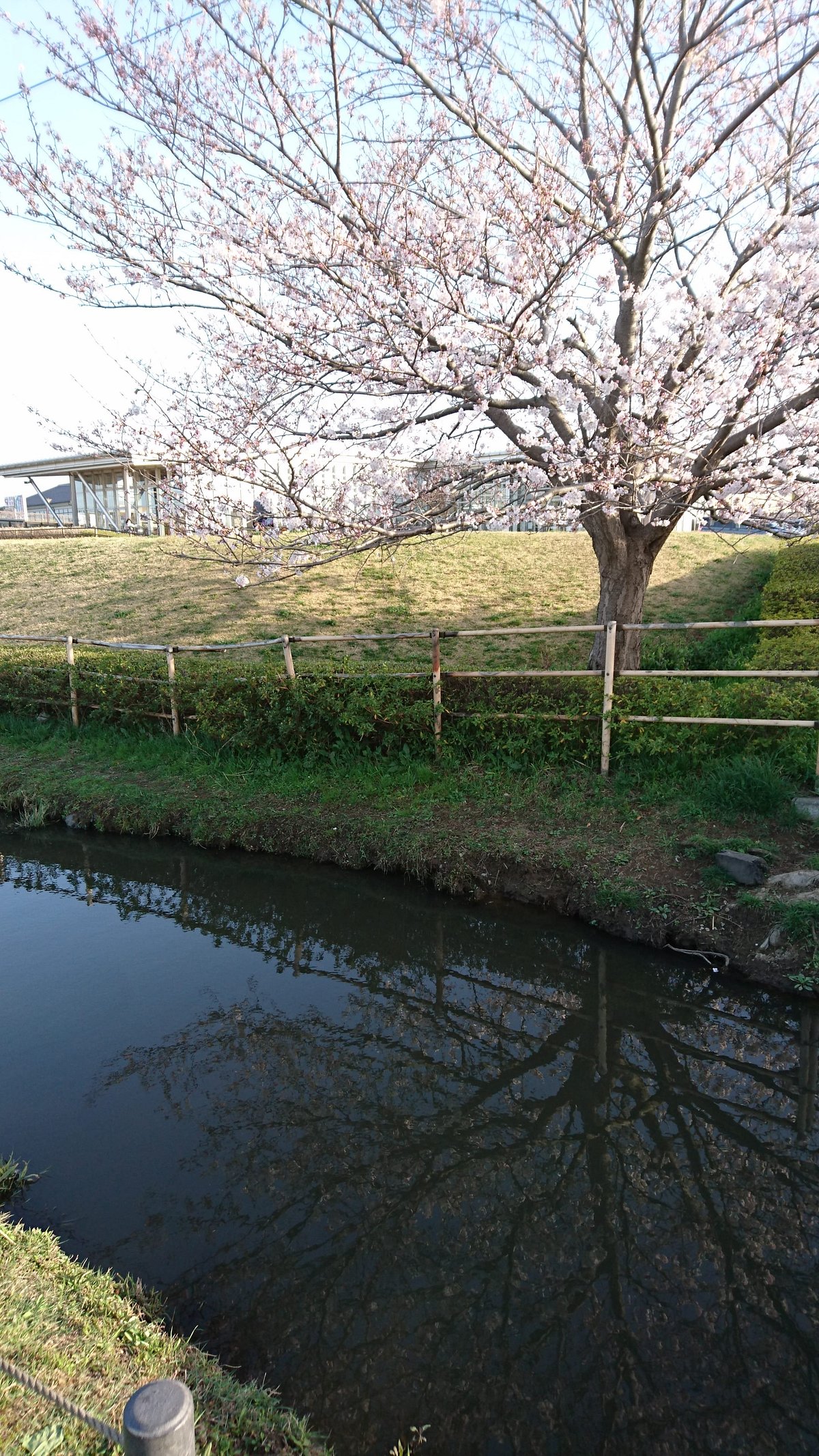 Michi-no-Eki Shonan cover image