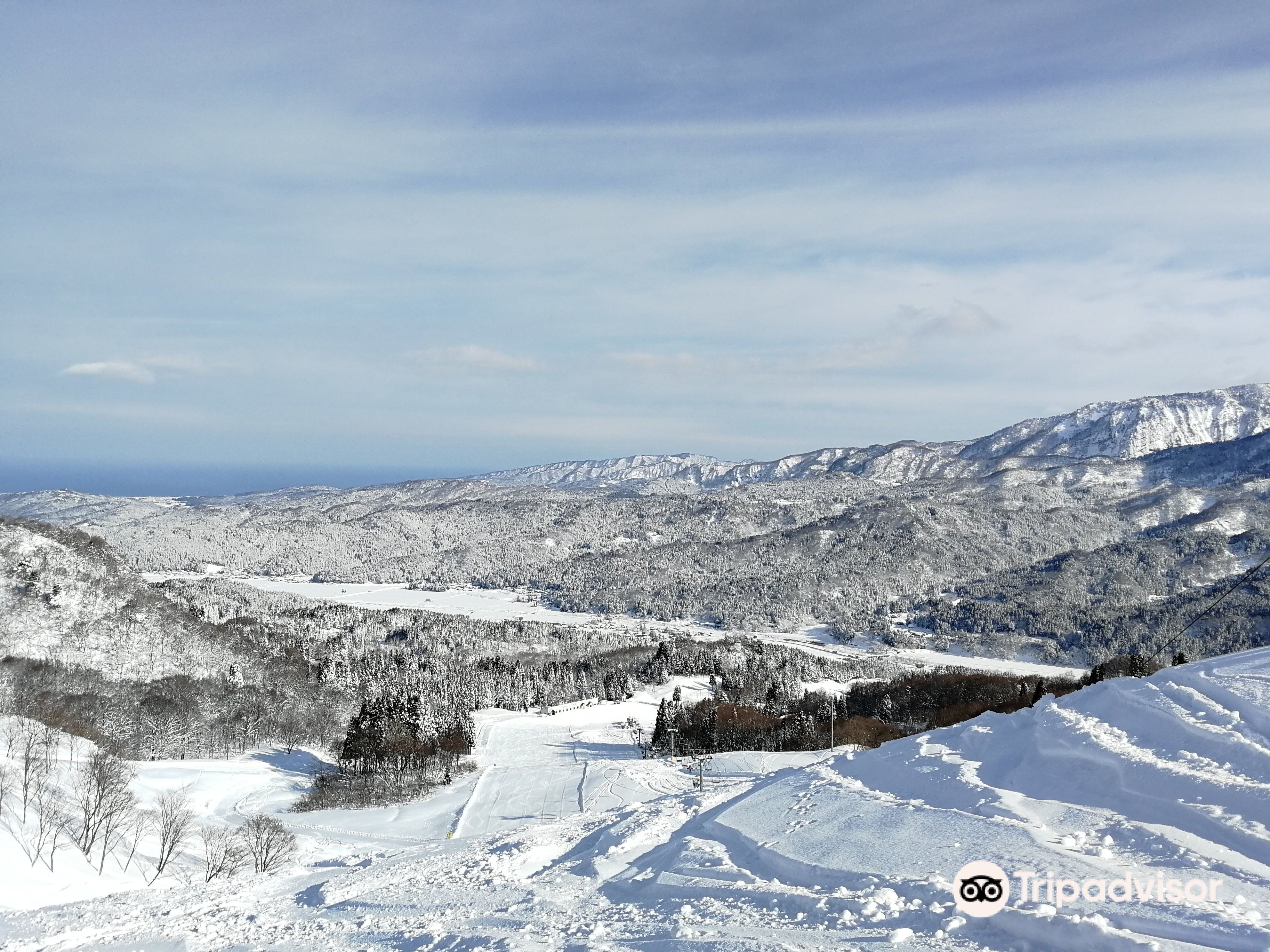 Itoigawa Seaside Valley Ski Area cover image