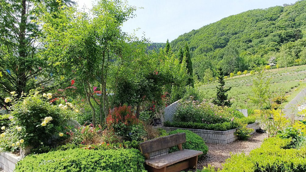 Hiruzen Herb Garden Herbill cover image