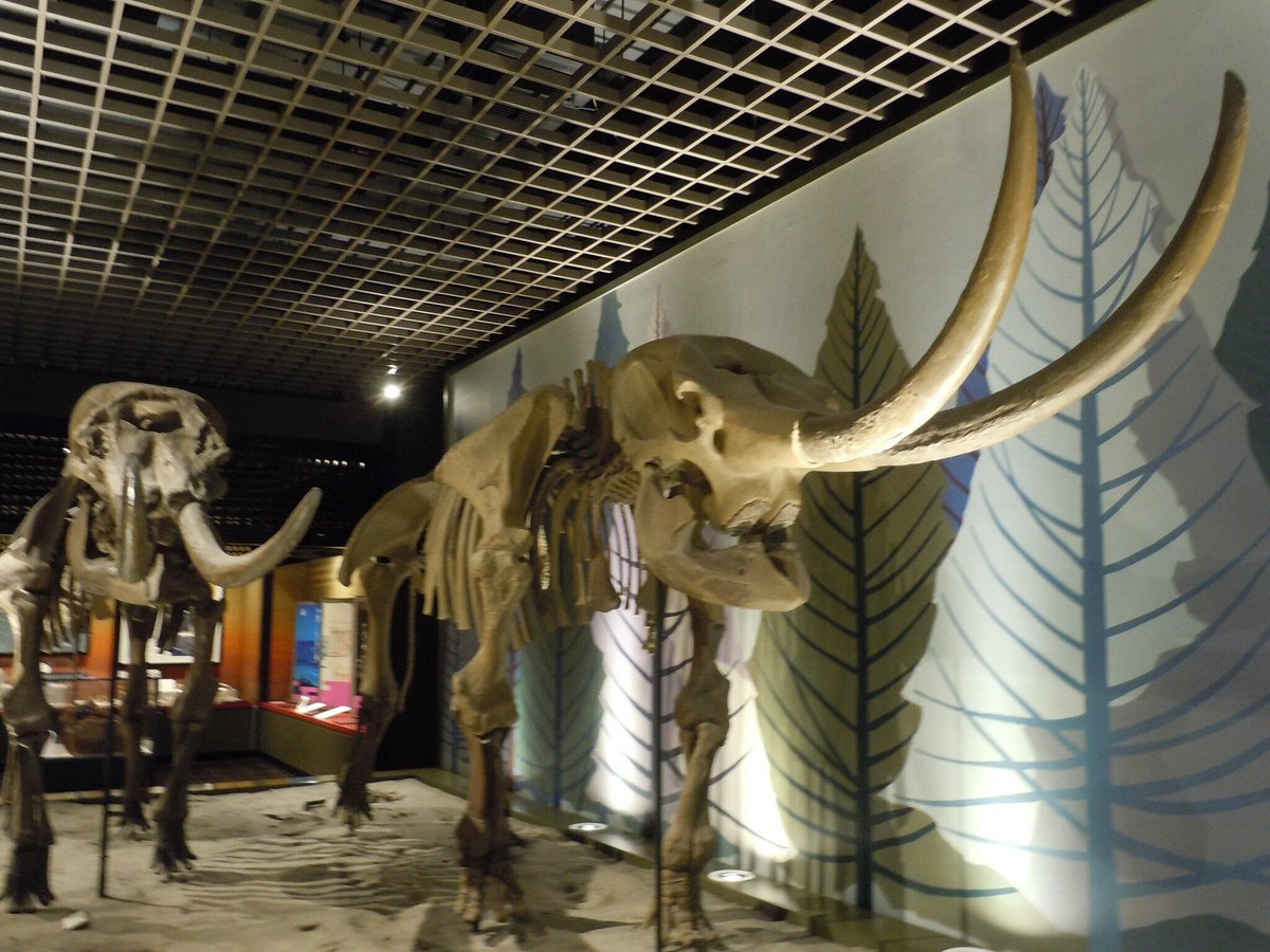 Akashi Culture Museum