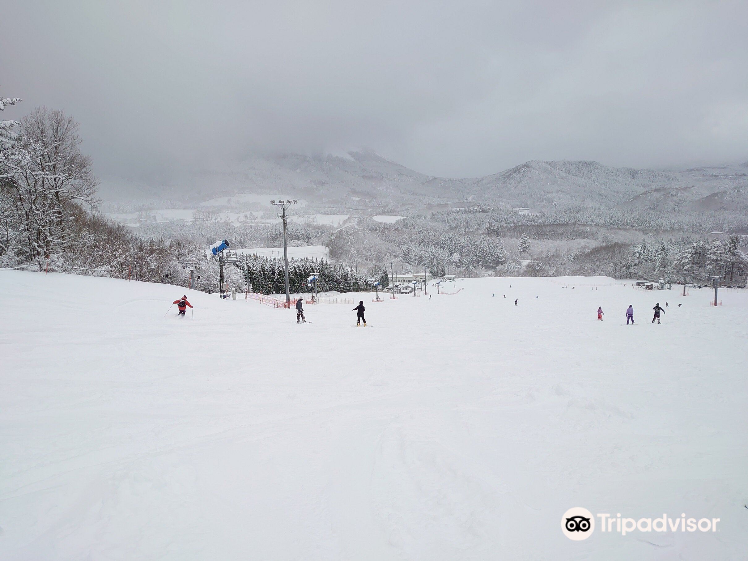 Bear Valley Ski Resort cover image