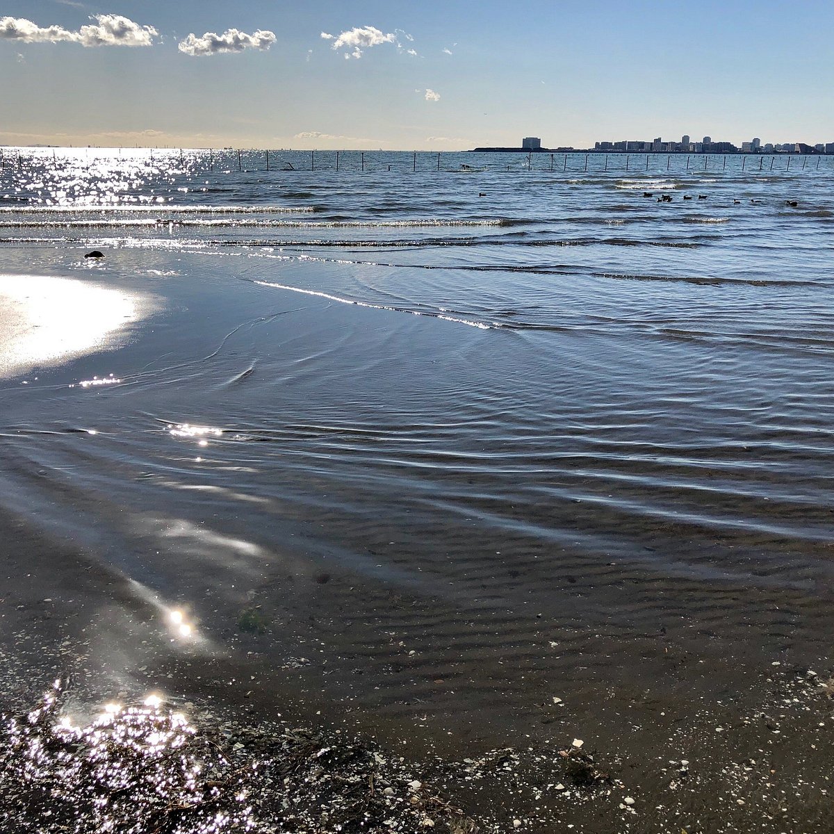 Funabashi Sanbanze Ocean Park cover image