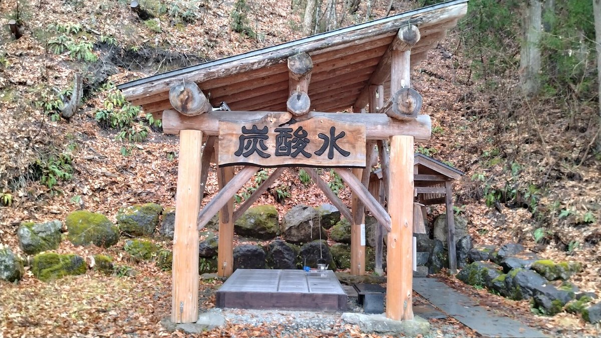 Oshio Natural Carbonated Water cover image