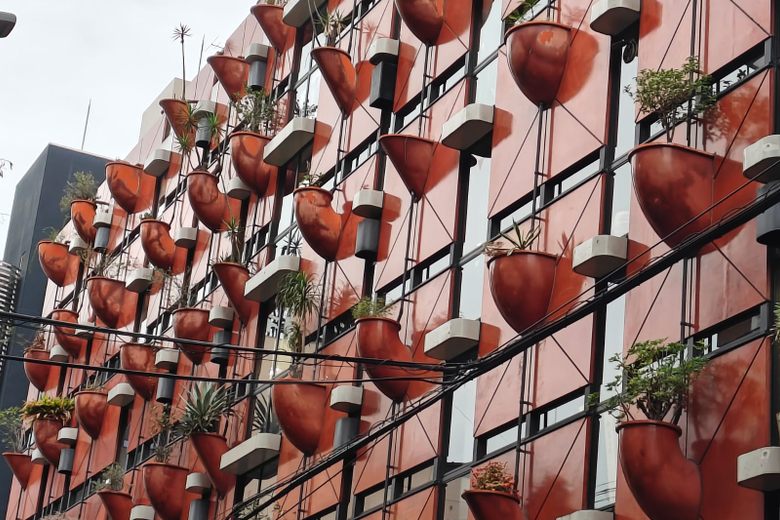 Organic Building cover image