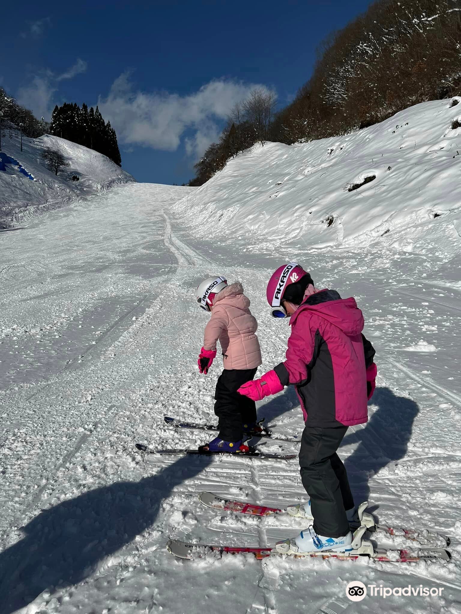 Oirase Onsen Ski Resort cover image