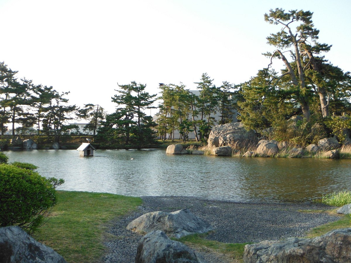 Minatoyama Park cover image